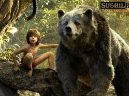 mowgli jungle book story